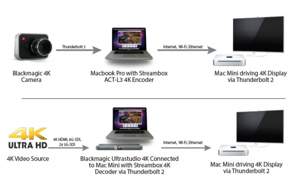 blackmagic live stream box