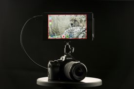 atomos shogun