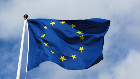 European union flag 2