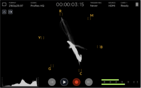 vectorscope on Video Assist 4K