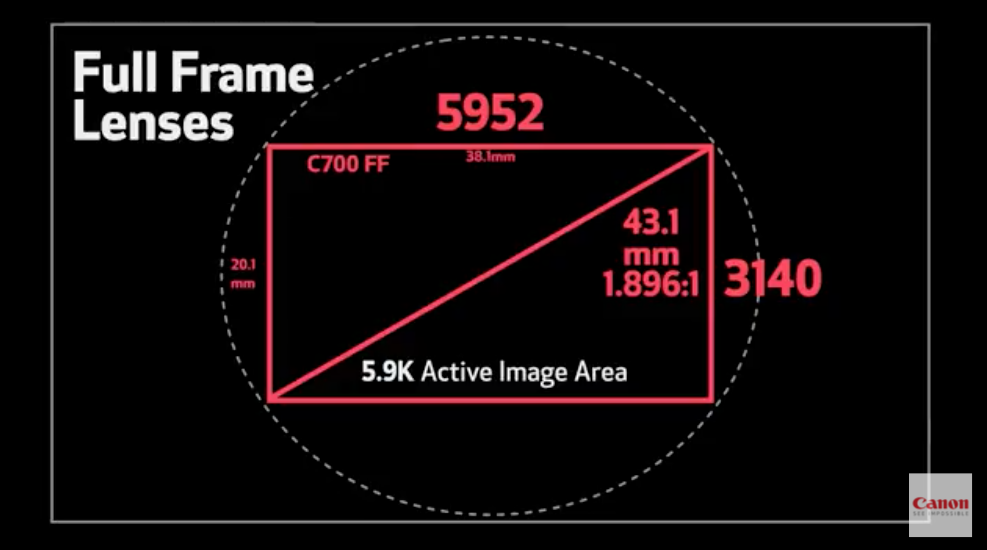 Full frame размер матрицы. Full frame Размеры. Размер фулл фрейм матрицы. Матрица Full frame размер дюймов.