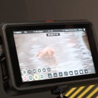 CES Atomos and Nikon develop ProRes Raw with HDMI out to Ninja V