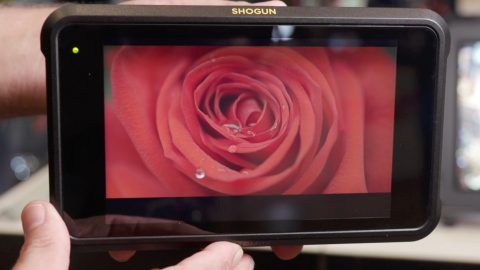 Atomos Shogun Screen 2