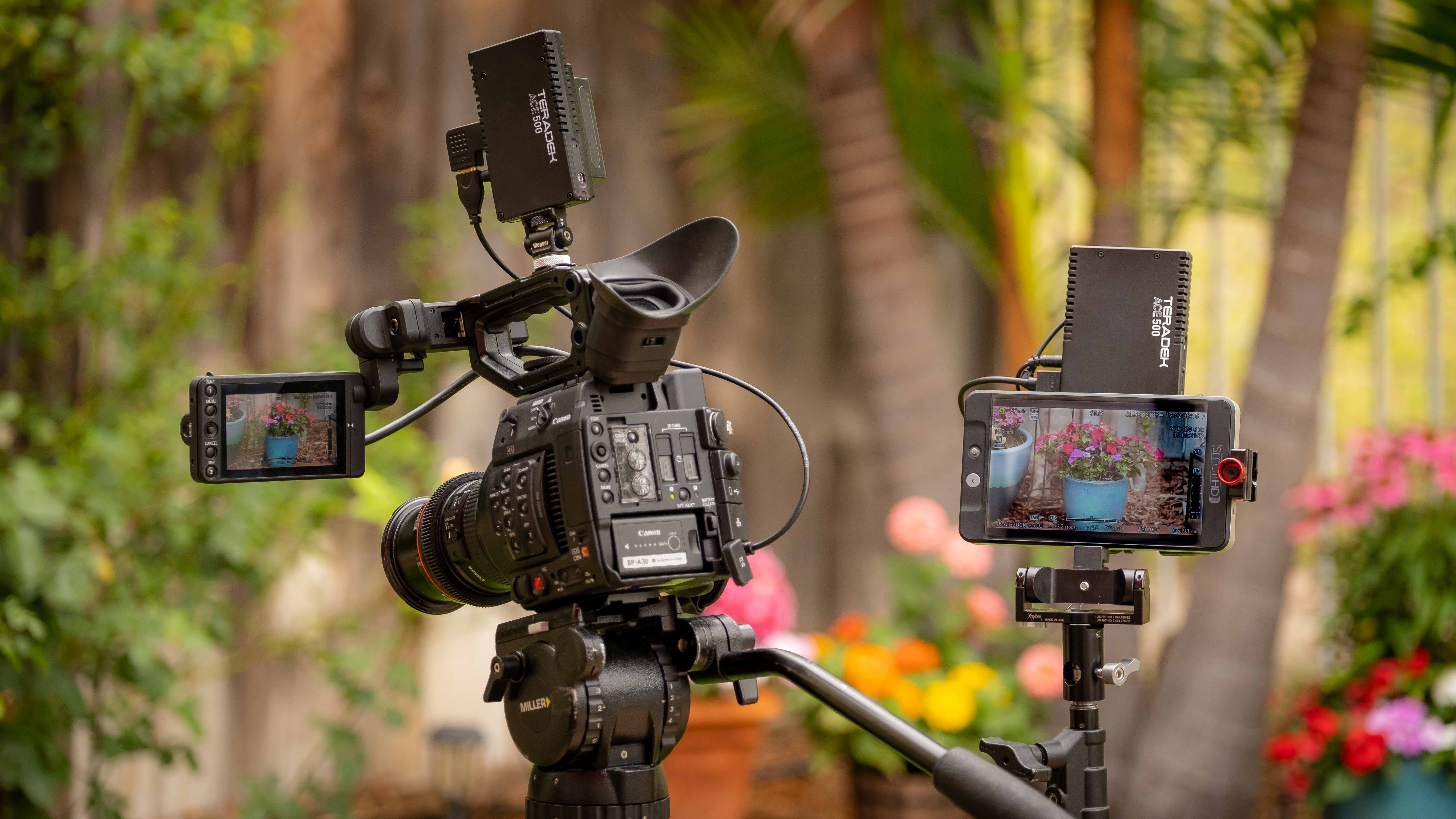 Teradek ACE 500 Hands-On Review - Newsshooter