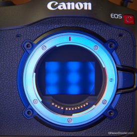 Canon C70 Sensor