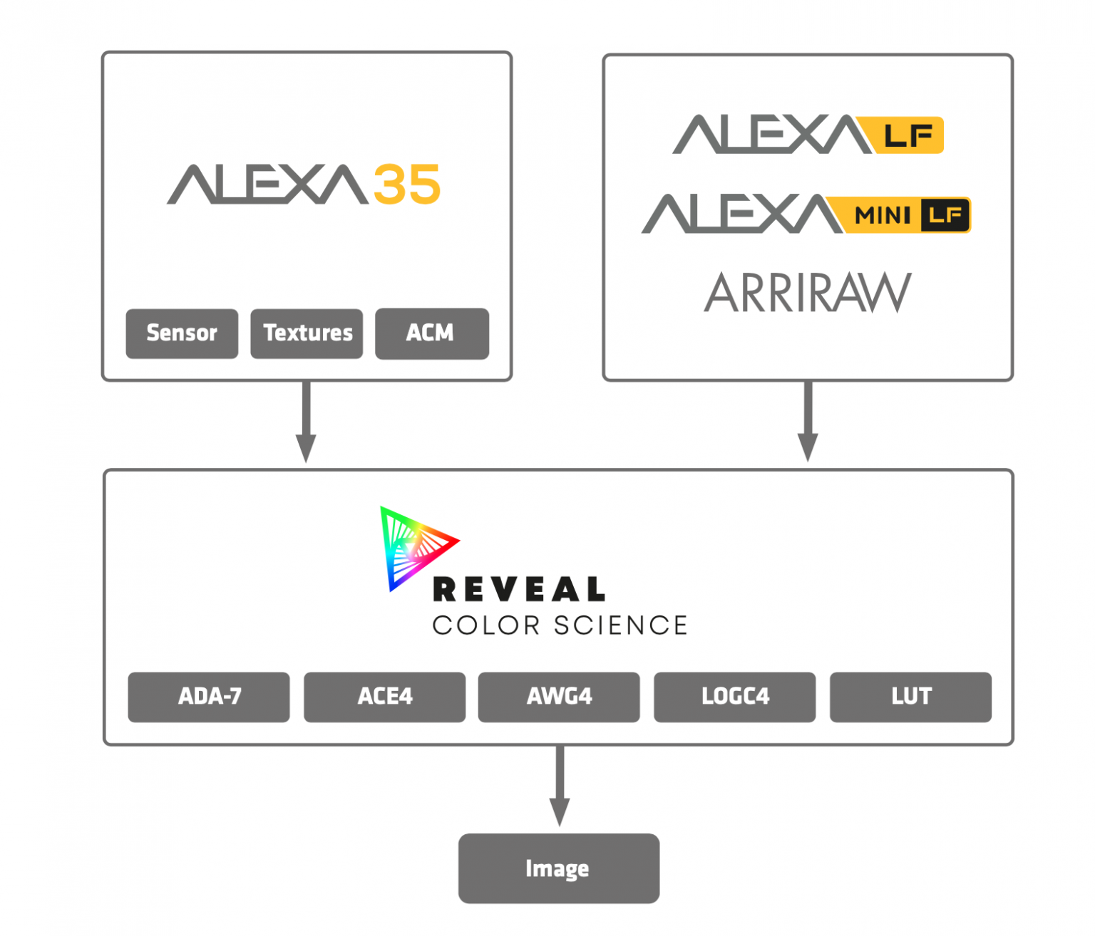 Alexa 35. Alexa LF ARRIRAW. False Color Arri Alexa. False Color Alexa Mini.