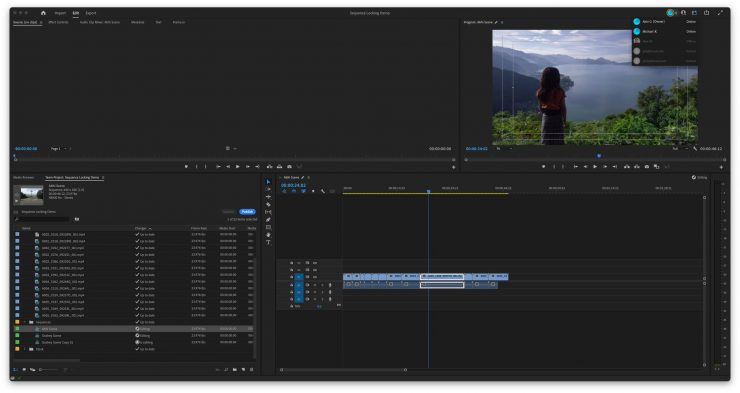 Premiere Pro Collaborative Editing Full Screen