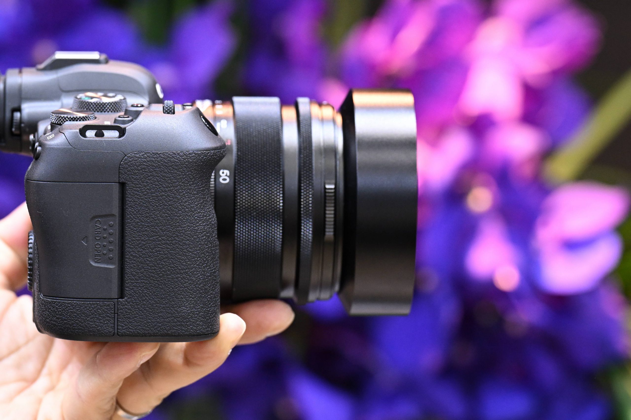 Voigtlander Nokton 50mm f/1 Aspherical RF mount - Newsshooter