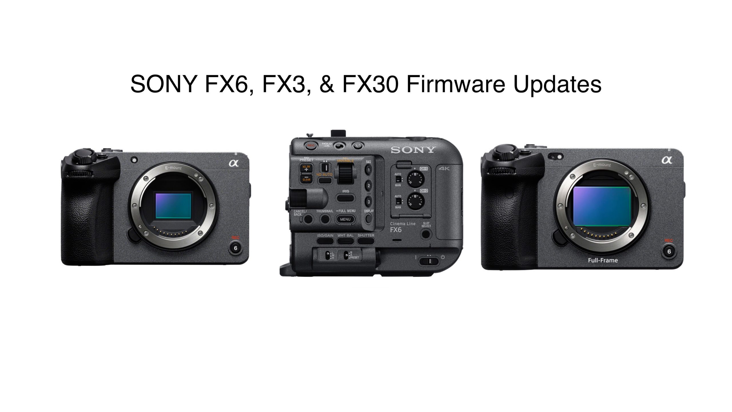 My first 30 days with the Sony FX30 
